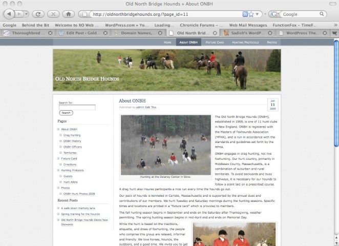The template of the new site allows all sub-pages to be shown in the left hand navigation bar making it easier to find topics. It is easy to incorporate images into the pages and posts. I particularly like the dynamic nature of the blog format. Rather than having a static site, new posts can be easily added making the site more representative of the community.